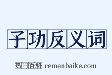 子功反义词是什么意思的图片
